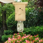 carpenter bee trap