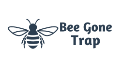 Bee Gone Trap