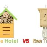 Bee trap vs bee hotel