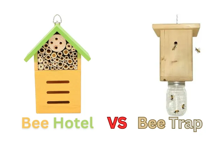 Bee trap vs bee hotel