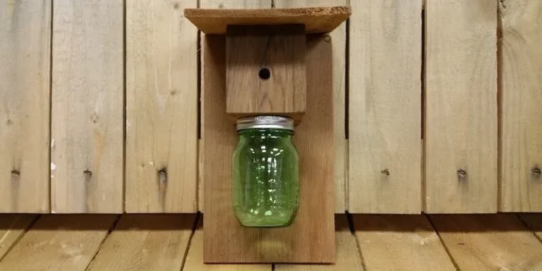 Carpenter Bee Trap Placement