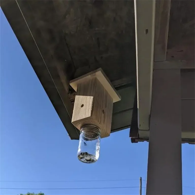 wooden carpenter bee traps