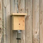 Carpenter Bee Traps