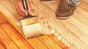 Top 5 Best Varnishes to Protect Your Wood from Carpenter Bees