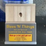 bees n things carpenter bee trap