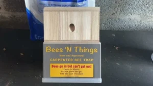 bees n things carpenter bee trap