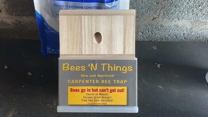 bees n things carpenter bee trap