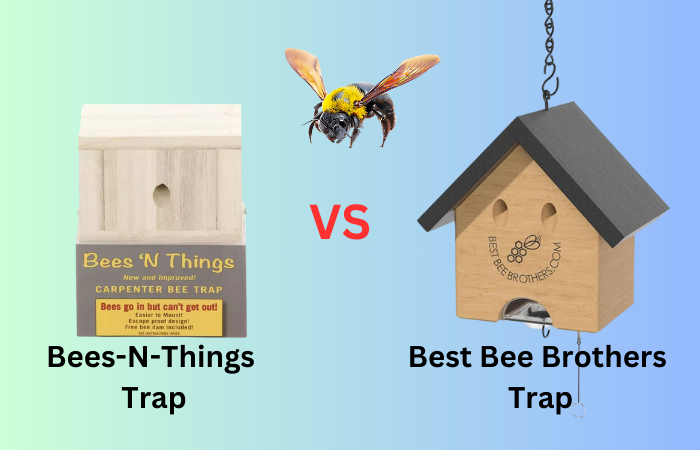 Bees-n-Things vs Best Bee Brothers