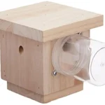 Best Wood for Carpenter Bee Traps