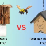 Carpenter Bee Trap Comparison: Mac’s Carpenter Bee Trap vs Best Bee Brothers