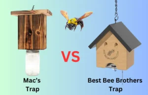 Carpenter Bee Trap Comparison: Mac’s Carpenter Bee Trap vs Best Bee Brothers